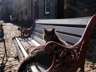 Apartment Modernes Refugium mit Terrasse - Outdoor photo 30