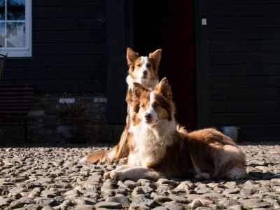 Apartment Modernes Refugium mit Terrasse - Outdoor photo 39