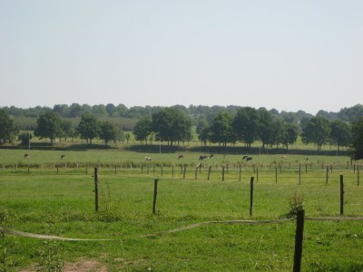 Apartment Wohnung in der Nהhe des Stadtzentrums in Mesch - Outdoor photo 2