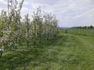 Apartment Wohnung in der Nהhe des Stadtzentrums in Mesch - Environment photo 22