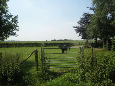 Apartment Wohnung in der Nהhe des Stadtzentrums in Mesch - Environment photo 24