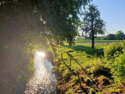 Apartment Idyllic Family Escape in Limburg - Environment photo 23