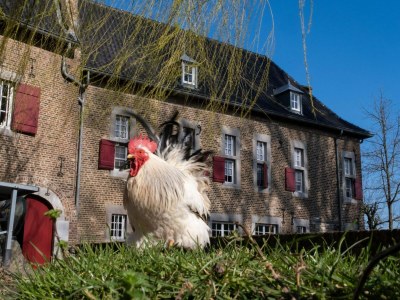 Apartment Idyllic Family Escape in Limburg - Outdoor photo 32