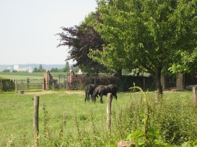 Holiday house Ferienhaus in Mesch-Eijsden - Outdoor photo 5