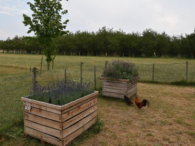 Holiday house Love & Laughter in Mesch - Outdoor photo 4