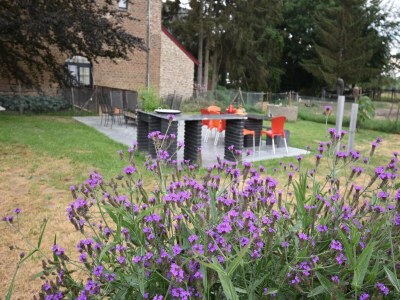 Holiday house Love & Laughter in Mesch - Outdoor photo 14