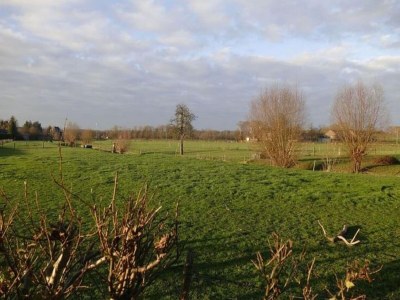 Holiday house Love & Laughter in Mesch - Environment photo 27