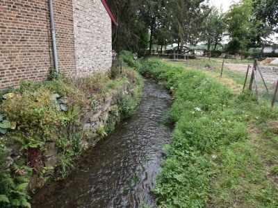 Holiday house Love & Laughter in Mesch - Environment photo 31