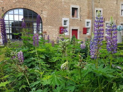 Holiday house Love & Laughter in Mesch - Outdoor photo 32