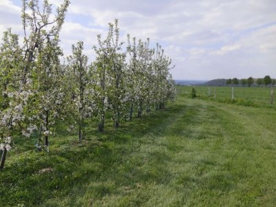 Apartment Wohnung in der Nהhe des Stadtzentrums in Mesch - Environment photo 27