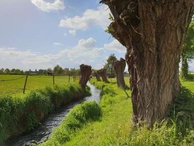 Apartment Wohnung in der Nהhe des Stadtzentrums in Mesch - Environment photo 29