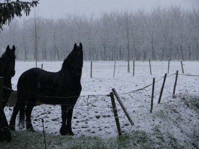 Apartment Wohnung in der Nהhe des Stadtzentrums in Mesch - Environment photo 31