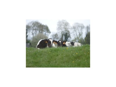 Apartment Wohnung in der Nהhe des Stadtzentrums in Mesch - Environment photo 32