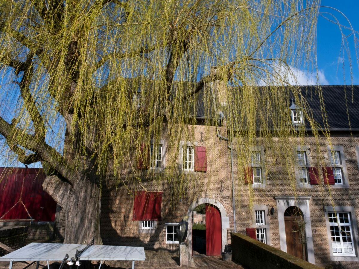 Holiday house Villa in Mesch mit Garten - Outdoor photo 3