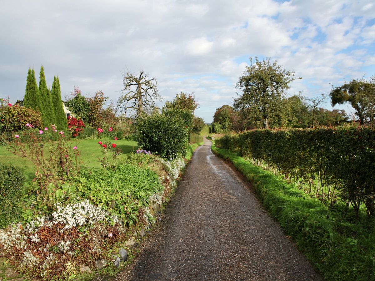 Holiday house Ferienhaus in Epen mit Garten & Grill - Outdoor photo 5