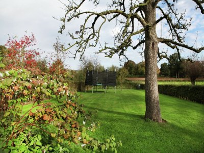Holiday house Ferienhaus in Epen mit Garten & Grill - Outdoor photo 7
