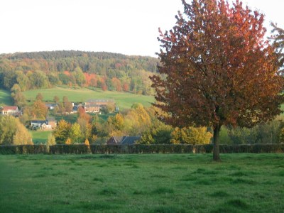 Holiday house Ferienhaus in Epen mit Garten & Grill - Outdoor photo 10