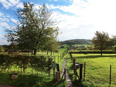 Holiday house Ferienhaus in Epen mit Garten & Grill - Outdoor photo 11