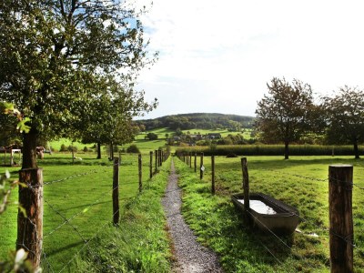 Holiday house Ferienhaus in Epen mit Garten & Grill - Outdoor photo 12