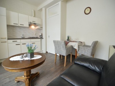 Apartment Homely Apartment in Schin op Geul with Terrace - Features photo 10