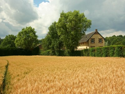 Farmhouse Farmhouse Wijlre near Scenic Lake - Outdoor photo 10