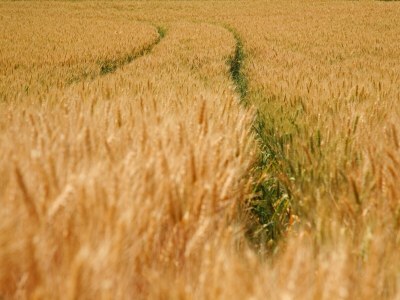 Farmhouse Farmhouse Wijlre near Scenic Lake - Environment photo 20