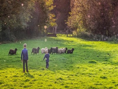Farmhouse Farmhouse Wijlre near Scenic Lake - Environment photo 23
