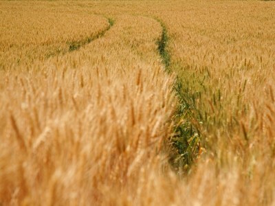 Farmhouse Wijlre Bauernhausaufenthalt - Environment photo 30