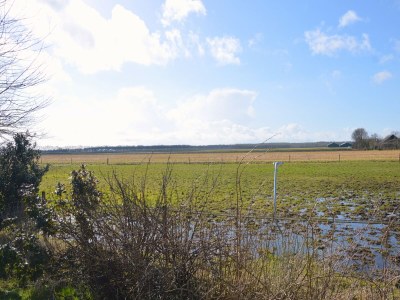 Holiday house Ferienhaus Schoonoord am Kibbelkoele - Outdoor photo 4