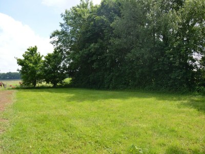 Holiday house Ferienhaus Schoonoord am Kibbelkoele - Outdoor photo 7