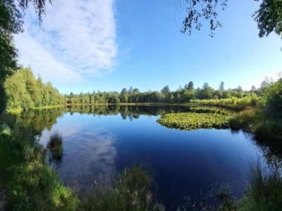 Holiday house Ferienhaus Schoonoord am Kibbelkoele - Environment photo 21