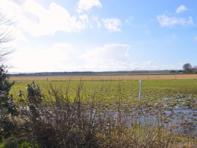 Holiday house Ferienhaus Schoonoord am Kibbelkoele - Environment photo 23