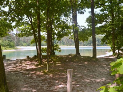 Holiday house Ferienhaus Schoonoord am Kibbelkoele - Environment photo 25