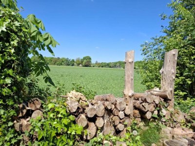 Holiday house Ferienhaus Schoonoord am Kibbelkoele - Environment photo 26