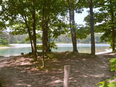 Holiday house Ferienhaus Schoonoord am Kibbelkoele - Environment photo 27