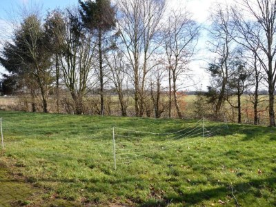 Holiday house Ferienhaus Schoonoord am Kibbelkoele - Environment photo 28