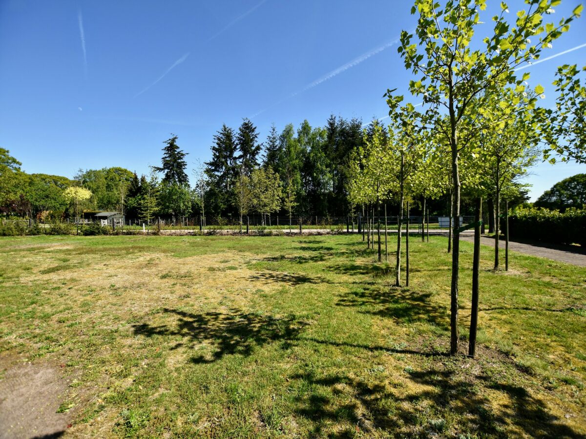 Holiday house Ferienhaus in Veluwe für 4 Von Belvilla - Outdoor photo 3