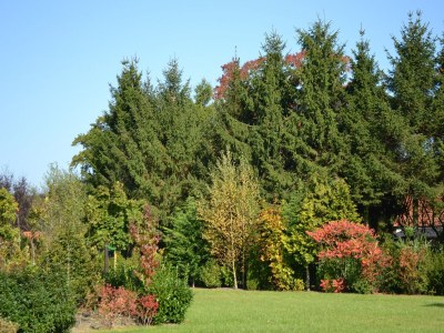 Holiday house Ferienhaus in Veluwe für 4 Von Belvilla - Outdoor photo 6