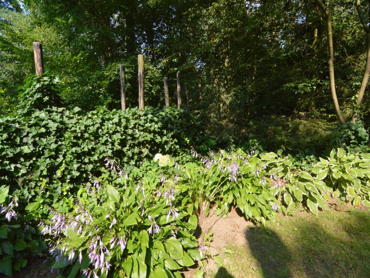 Holiday house Ferienhaus in Zelhem am Wald - Outdoor photo 5