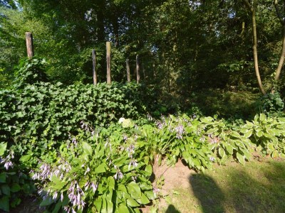 Holiday house Ferienhaus in Zelhem am Wald - Outdoor photo 5