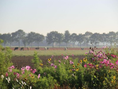 Holiday house Ferienhaus in Zelhem am Wald - Environment photo 25