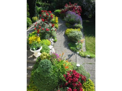 Holiday apartment at the lake of constanz - Outdoor photo 3