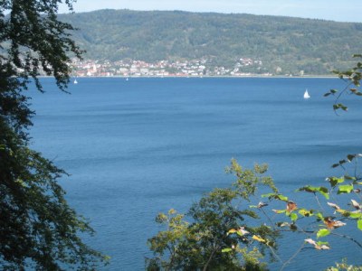 Holiday apartment at the lake of constanz - Environment photo 17