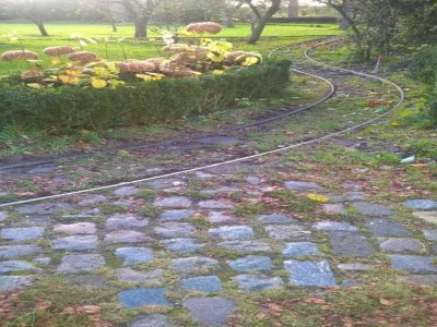 Farmhouse Farmhouse in Geesteren near Golf Course - Environment photo 23