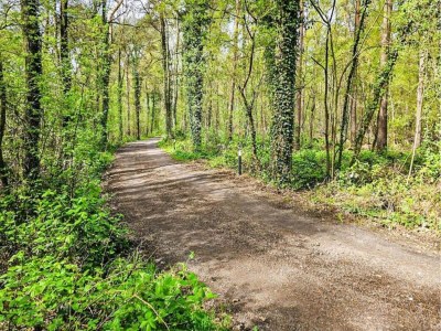 Farmhouse Farmhouse in Geesteren near Golf Course - Environment photo 25