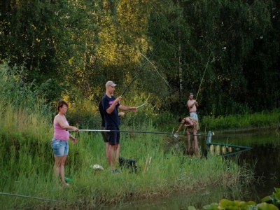 Farmhouse Farmhouse in Geesteren near Golf Course - Environment photo 34
