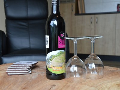 Farmhouse Farmhouse in Geesteren near Golf Course - Outdoor photo 36