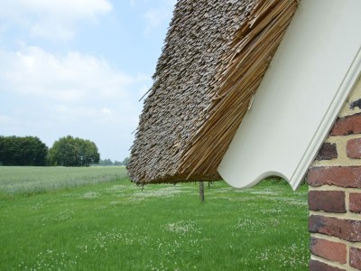 Farmhouse Farmhouse in Geesteren near Golf Course - Outdoor photo 37