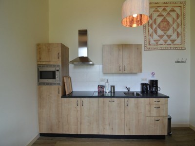 Farmhouse Bauernhaus in Geesteren nahe Wald - Features photo 13