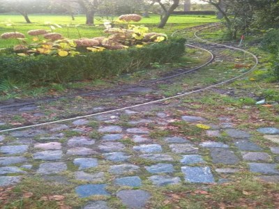 Farmhouse Bauernhaus in Geesteren nahe Wald - Environment photo 28